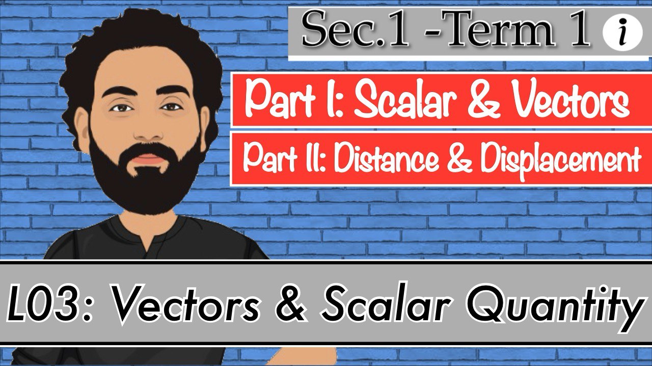 S1-T1-L03-Scaler & Vectors (Quizzes)